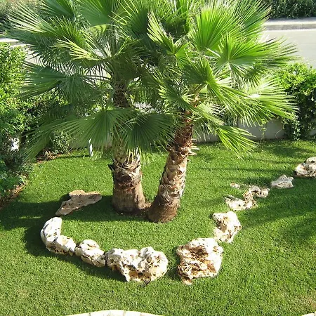 Bed & Breakfast Le Mediterranee