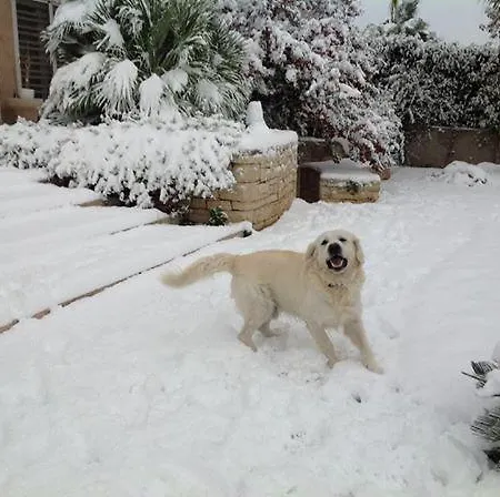 Bed & Breakfast Le Mediterranee 3*